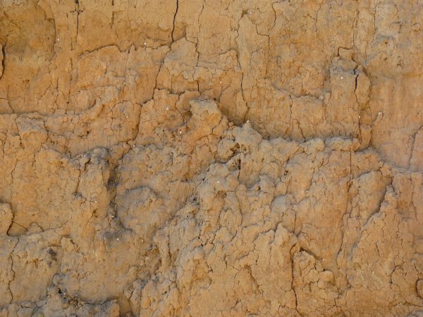 Rock surface in consistent, beige tone with very rough consistency and cracks throughout.