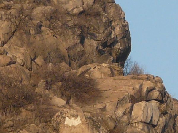 Landscape with jagged rock cliffs in brown tones and long, dry grass throughout.