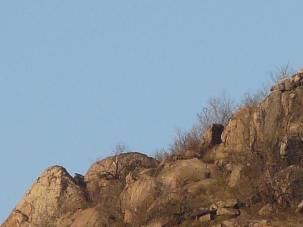 Landscape with jagged rock cliffs in brown tones and long, dry grass throughout.