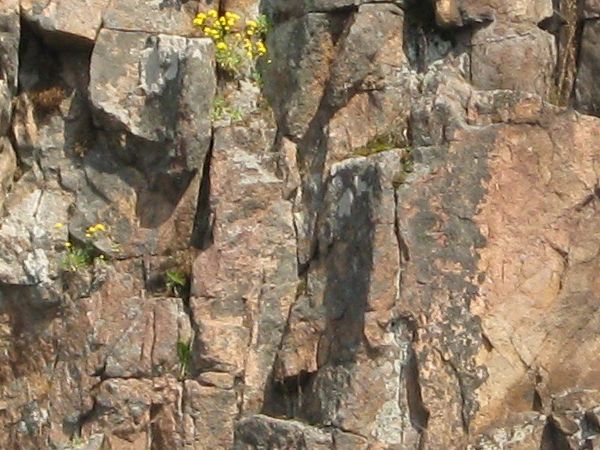 Rough rock cliff texture iin brown and grey tones with jagged, crumbling surface.