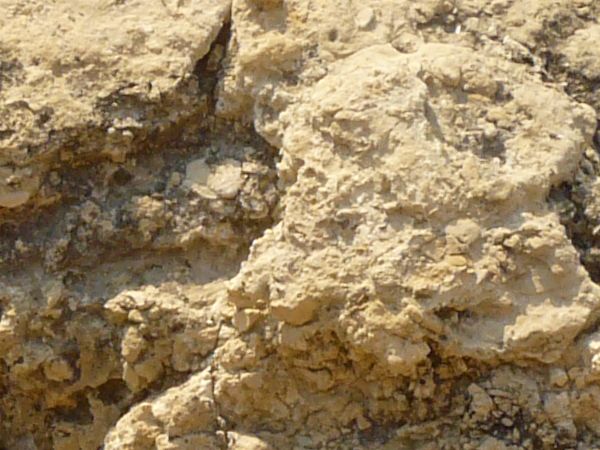 Rough rock texture in light beige tone with crumbling surface and black spots.