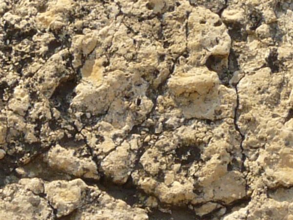 Rough rock texture in light beige tone with crumbling surface and black spots.