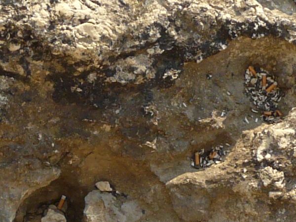 Rough rock texture in light beige tone with crumbling surface and black spots.