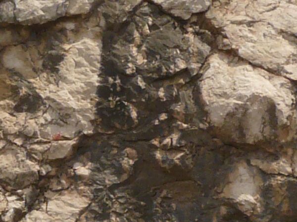 Rock cliff texture in light beige tone with crumbling surface and dark, vertical streaks.