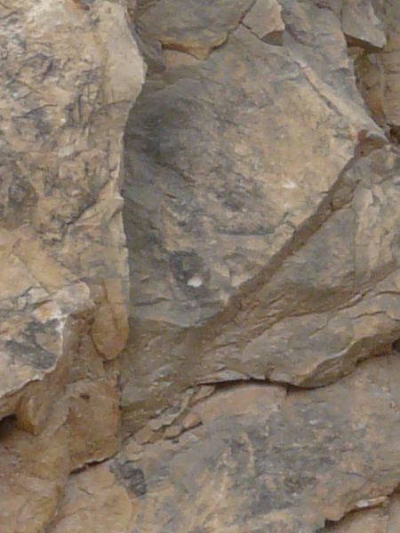 Rough rock cliff texture in brown color with cracking surface.