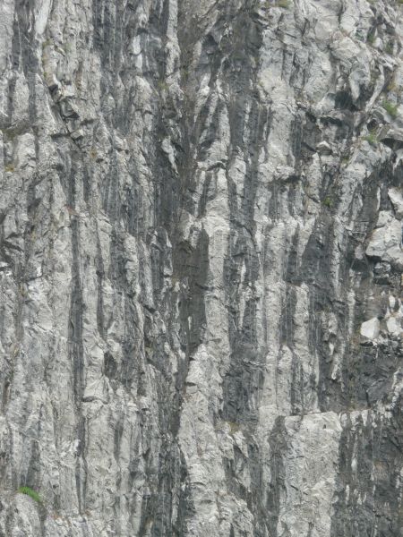 Texture of grey rock cliff with rough, uneven surface and myriads of black, vertical streaks.