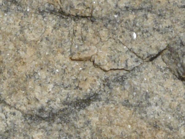 Texture consisting of flat sandstone in beige and grey tones with small cracks on surface.