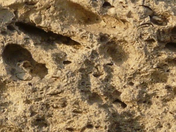 Rock texture in beige tone with very rough surface and holes.