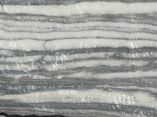 Cut section of stone in white and grey tones with horizontal line pattern on surface.