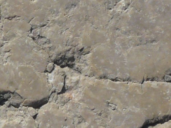 Flat stone texture in consistent, brown tone with myriads of cracks across surface.