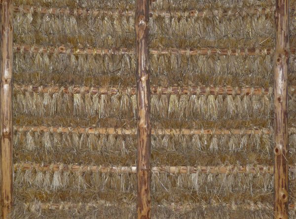 Interior view of thatched, straw roofing with wooden framing.