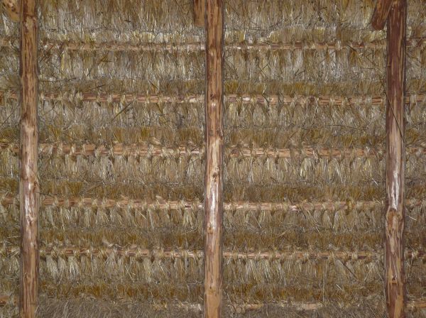 Interior view of thatched, straw roofing with wooden framing.