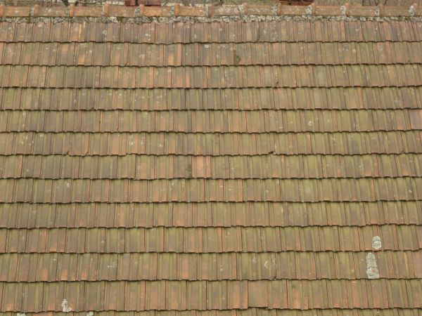 Slightly worn roof texture with square shingles in a pale green tone.