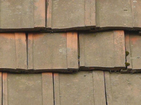 Seamless, old roof texture consisting of flat, square shingles in a dark brown color.