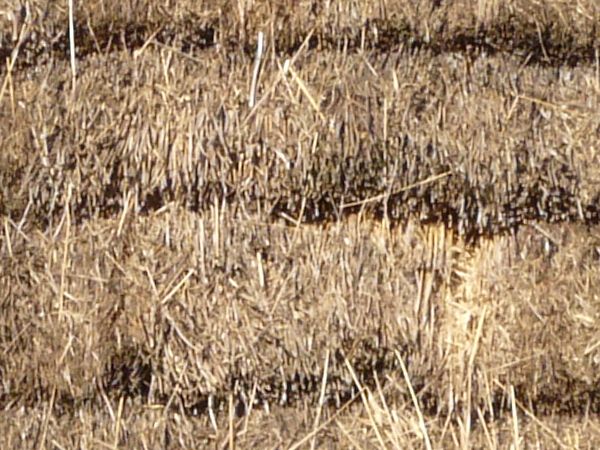 Roof texture of layered, thatched brown straw.