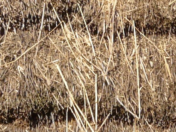 Roof texture of layered, thatched brown straw.