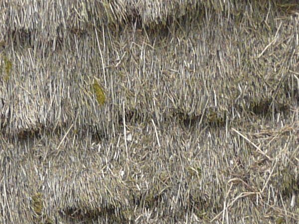 Roof texture of layered, thatched grey straw with moss spots.