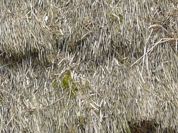 Roof texture of layered, thatched grey straw with moss spots.