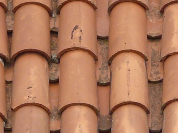 Roof texture of red shingles with curved shape.