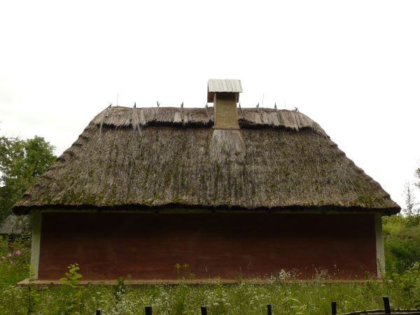 Roof texture of matted, grey straw with patches of green moss.