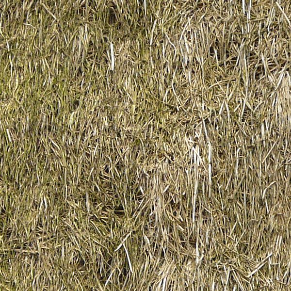 Seamless roof texture containing long, dry grass in pale green tone.