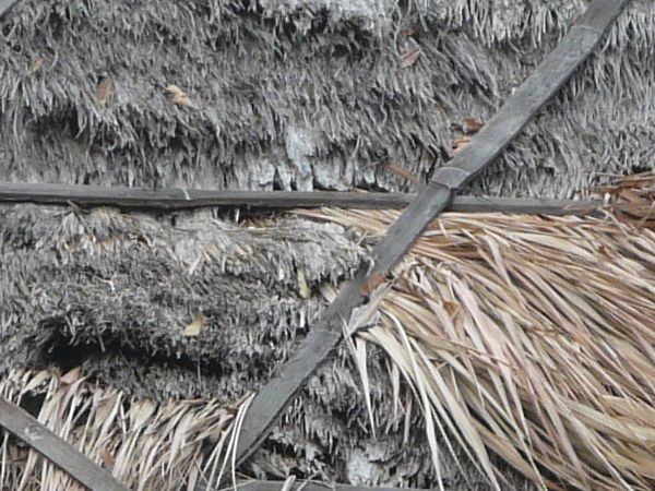 Old roof made of dry grass and straw held down by thin wooden planks.