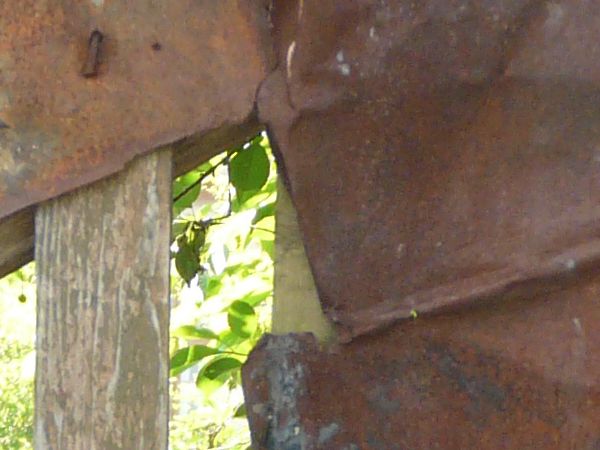Fence texture, made up of various pieces of wood, metal and rusted panels.