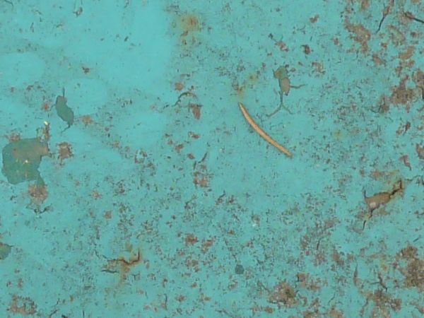 Blue painted metal texture, with extensive chipping, discoloration and faint brown rust stains.
