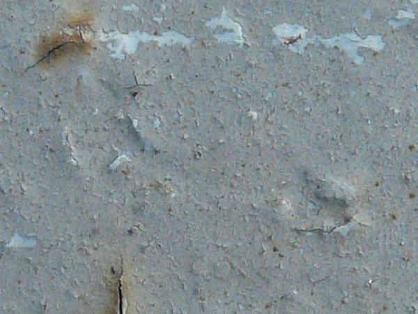 Grey painted metal texture, with small brown rust stains, and various chipping and cracking.