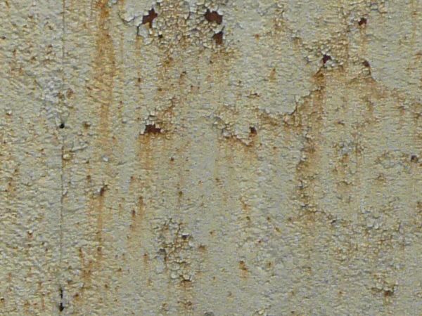 Small rust spots texture, present on a coarse surface of white paint. Faint brown staining is also visible.