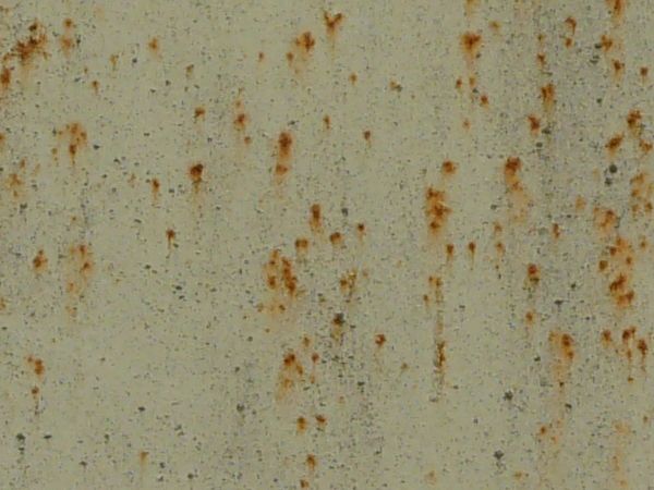 Small brown rust spots texture, spread out on a white surface with many small dark marks.