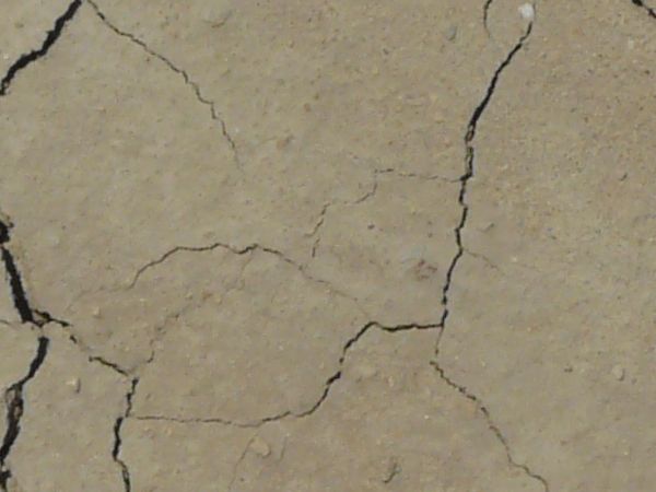 Cracked soil texture, tan in color and dried into medium-sized sections with bits of stone and further light cracking throughout.