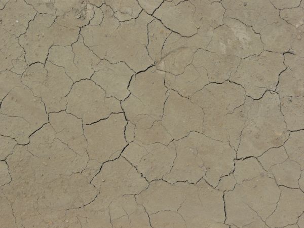 Cracked soil texture, tan in color and dried into medium-sized sections with bits of stone and further light cracking throughout.
