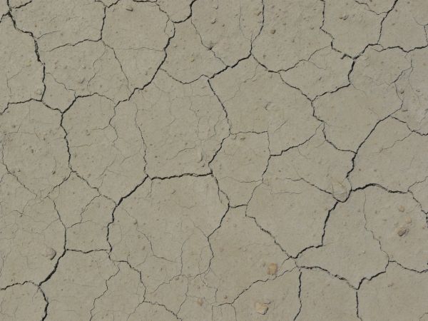 Cracked soil texture, tan in color and dried into medium-sized sections with bits of stone and further light cracking throughout.