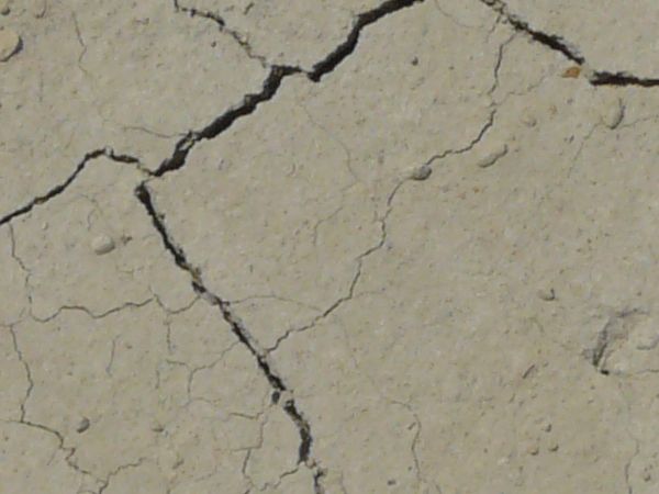 Cracked soil texture, tan in color and dried into medium-sized sections with bits of stone and further light cracking throughout.