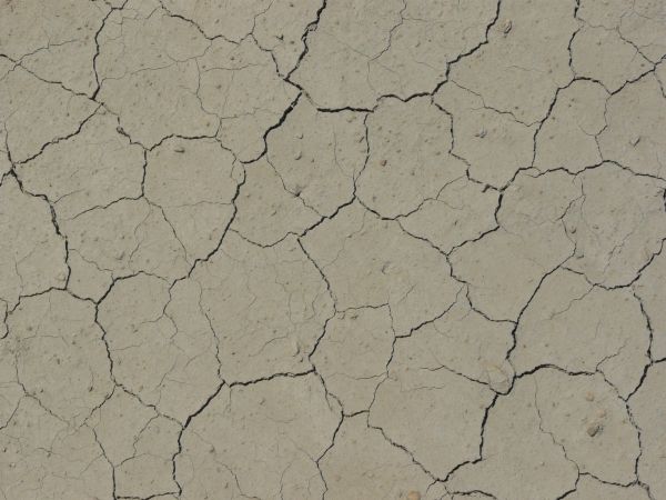 Cracked soil texture, tan in color and dried into medium-sized sections with bits of stone and further light cracking throughout.