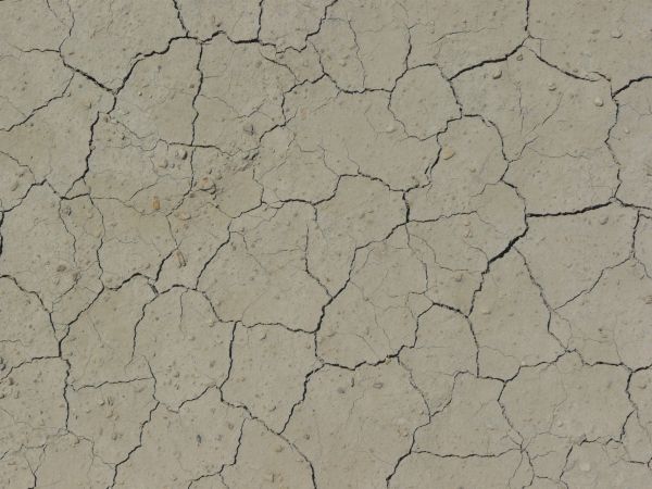 Cracked soil texture, tan in color and dried into medium-sized sections with bits of stone and further light cracking throughout.