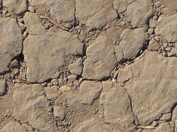 Cracked soil texture, dried into sections with varying degrees of definition, covered with fine brown soil. Bits of dried brown weeds are present throughout.