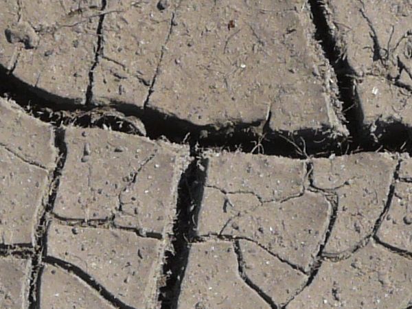 Brown soil texture, with deep defined cracks containing areas covered with smaller cracks.