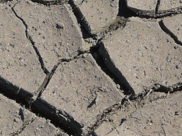 Brown soil texture, with deep defined cracks containing areas covered with smaller cracks.