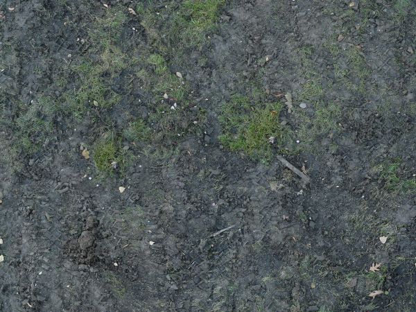Uneven, damp soil texture, with patches of bright, thin grass and some small sticks and rocks.