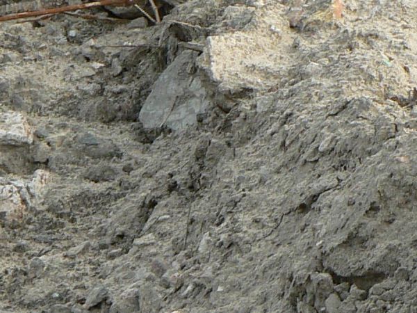 Hilly grey ground texture made up of dried, bumpy soil and a few brown sticks and dried weeds.