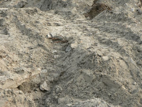 Hilly grey ground texture made up of dried, bumpy soil and a few brown sticks and dried weeds.