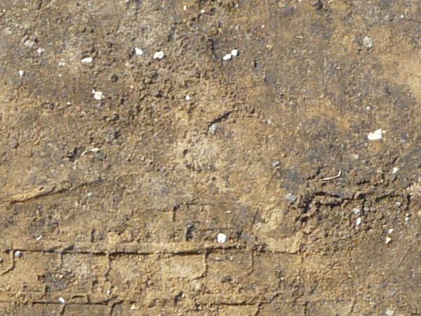 Grey ground texture with streaks of brown and white in the packed soil, and large tire tracks throughout.