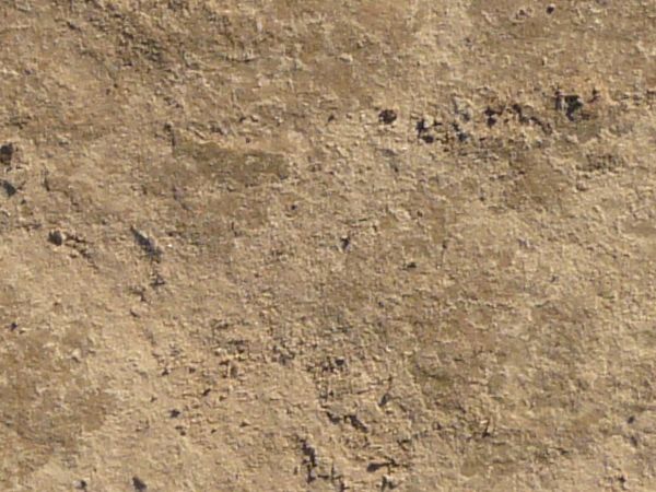 Tan ground texture, with various shallow cracks and indentations in the uneven surface of rough, hardened soil.