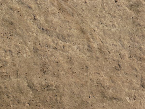 Tan ground texture, with various shallow cracks and indentations in the uneven surface of rough, hardened soil.