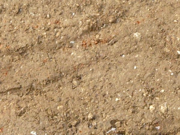 Tan ground texture, covered with various areas of smooth, rough and crumbling soil. Rocks and irregular spots of white and orange are also visible in the dirt.