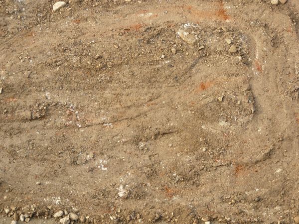 Tan ground texture, covered with various areas of smooth, rough and crumbling soil. Rocks and irregular spots of white and orange are also visible in the dirt.