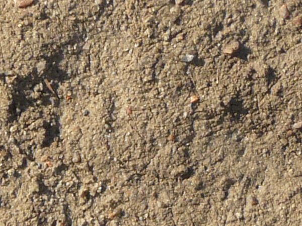 Uneven ground texture covered by rocky tan soil
