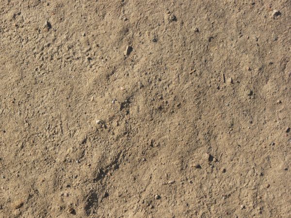 Uneven ground texture covered by rocky tan soil